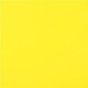 Meet your Posher, Abbie